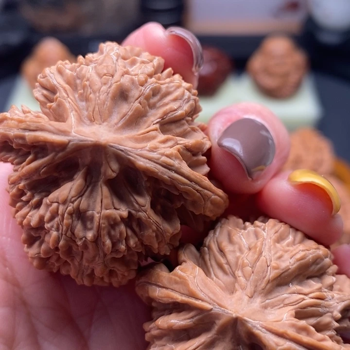 文玩核桃把件宋****儿，