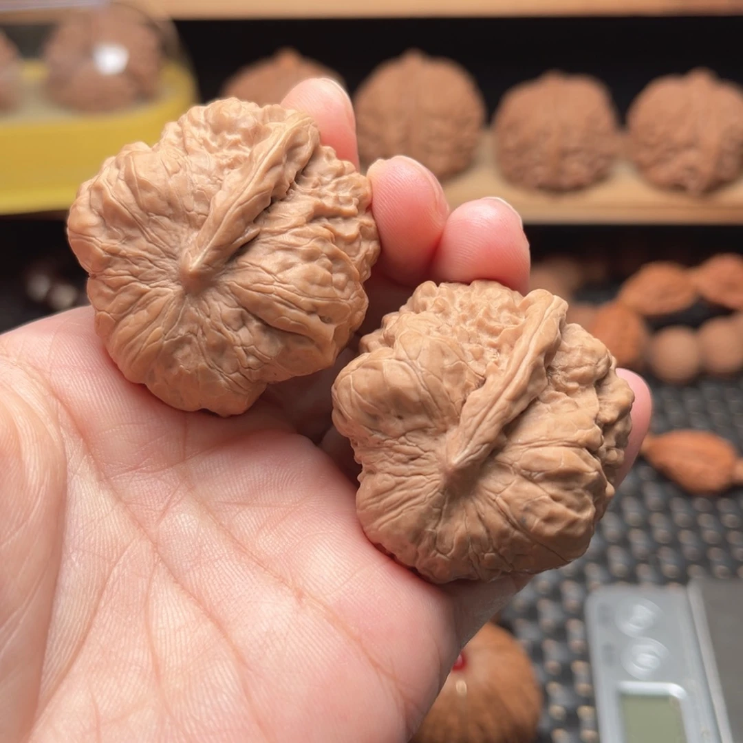 文玩核桃一帆风顺39全品