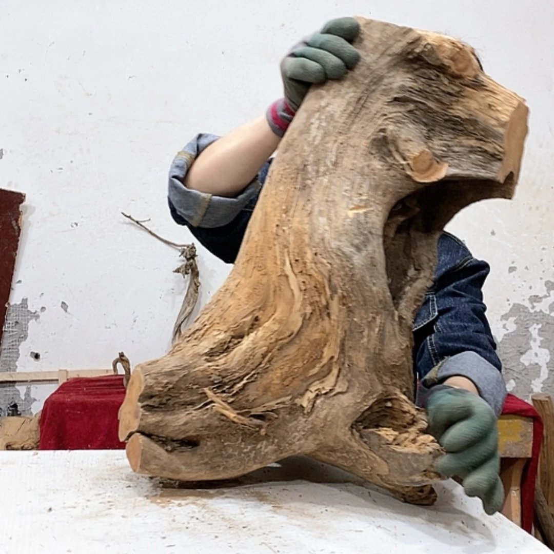 【闪购商品】柏木如**雕我们都是好孩子