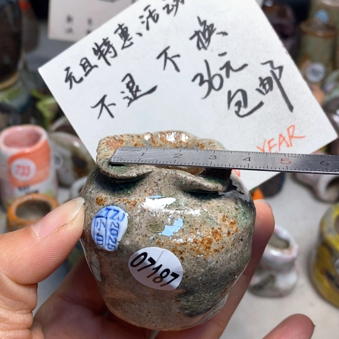 元旦特惠盆不退不换，原价48元一个