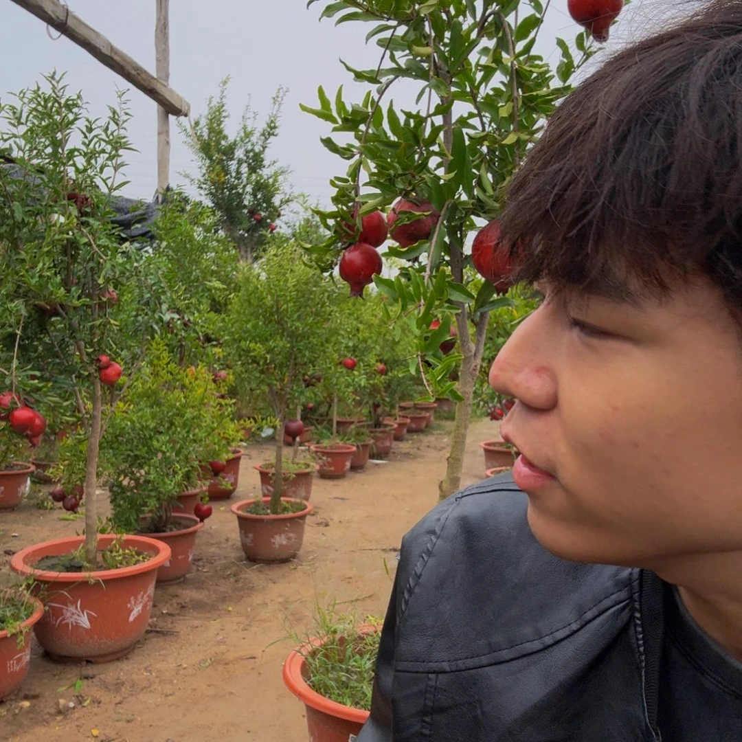 无花朵刚v纳罗科比v