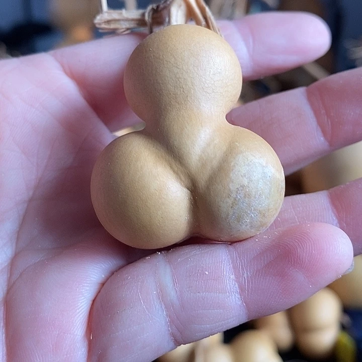 珍****葫芦的颜色是蓝色的还是