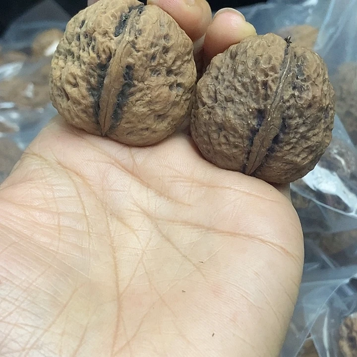 木质类云南铁核桃基地88