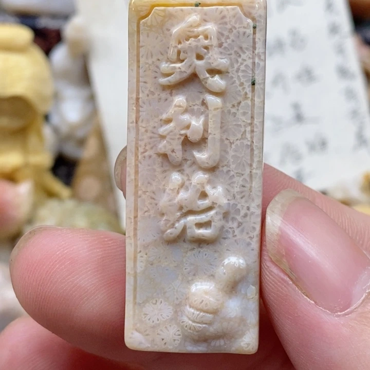 颈饰未镶嵌硅化珊瑚（珊瑚玉）