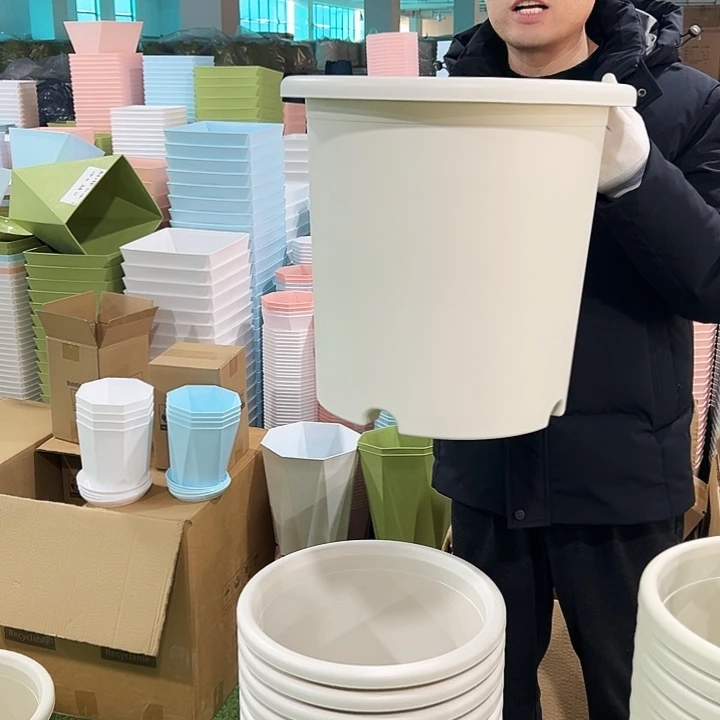 微瑕8号口39高37白色5只无托