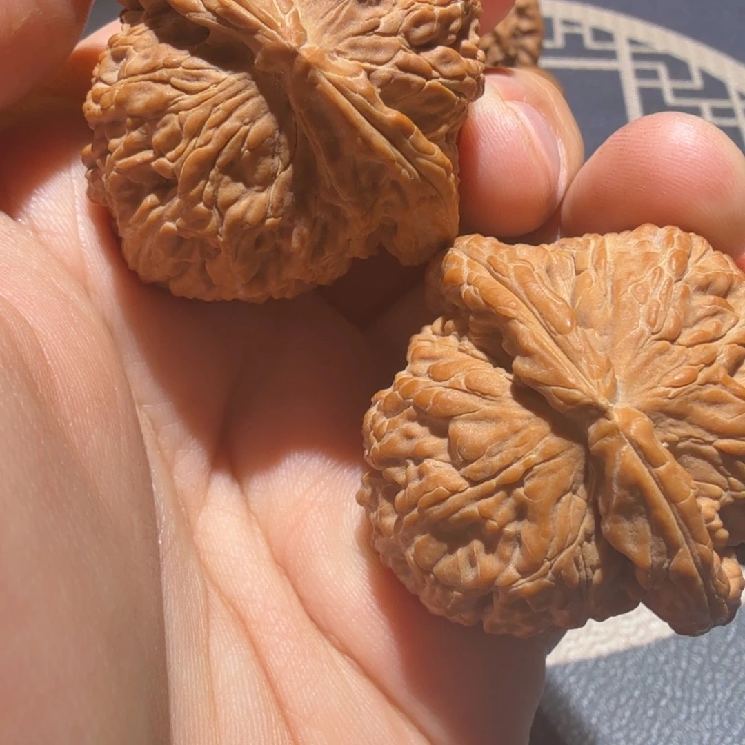 文玩核桃把件白狮子