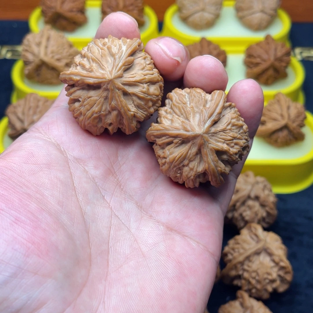 核桃手串/手链玉龙粗筋全品41尺正奔