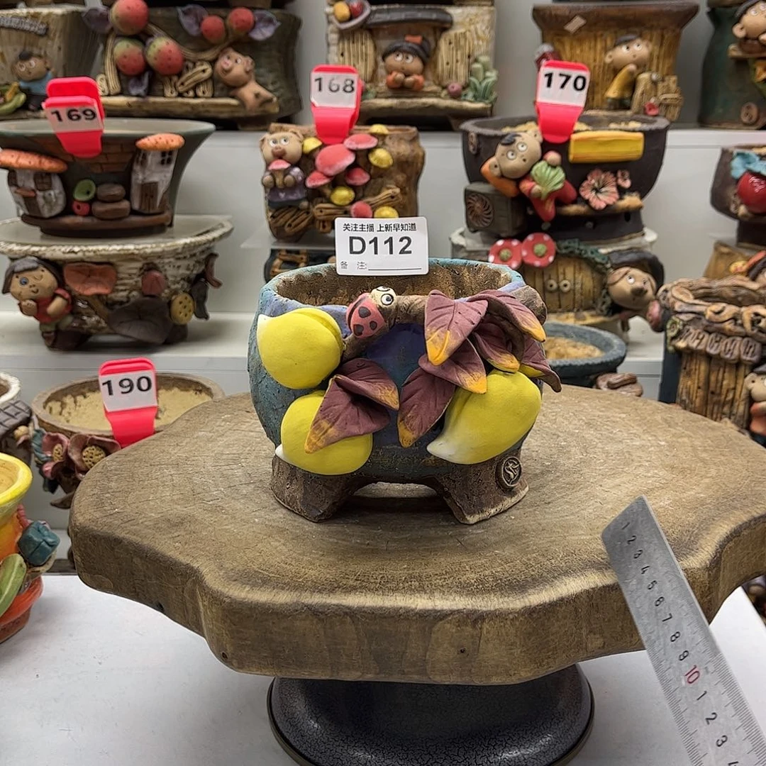 花盆112白狐花盆活动