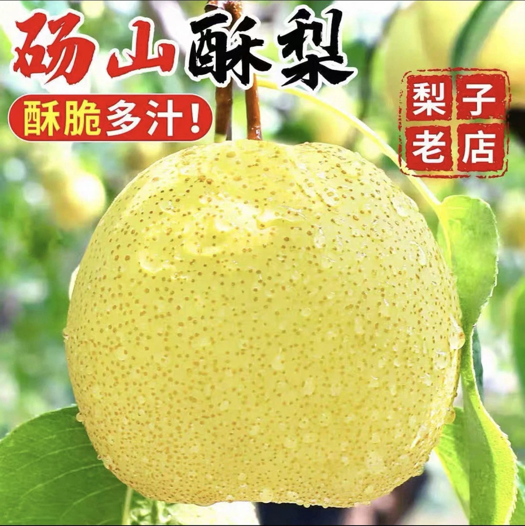 【正宗】砀山酥梨当季鲜果脆甜多汁新鲜梨子口感香甜