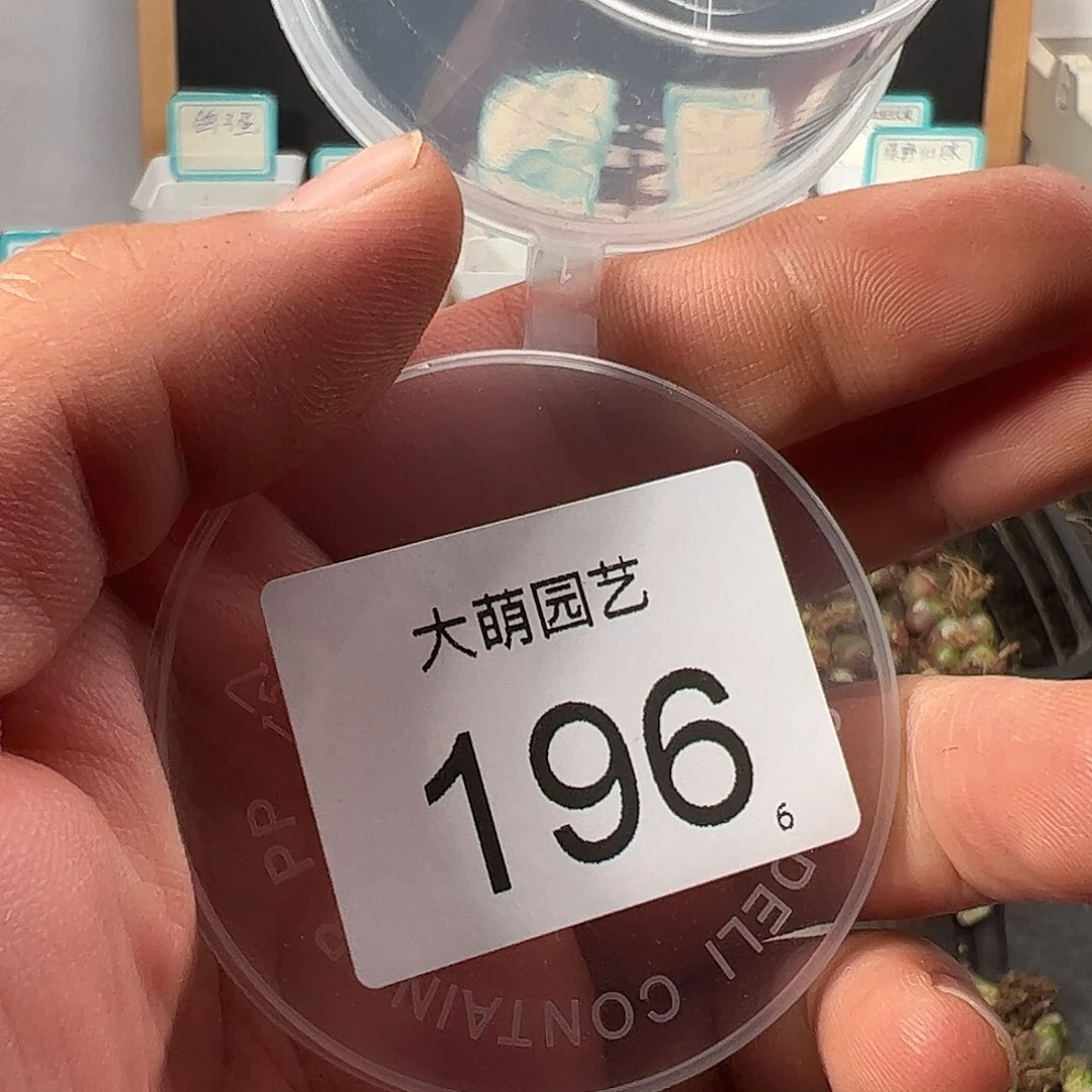 流*瑶0000196 一物一拍……