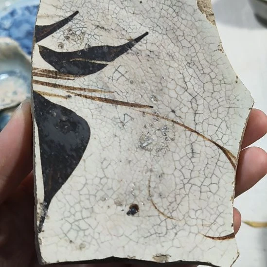 瓷片瓷片瓷片瓷片瓷片