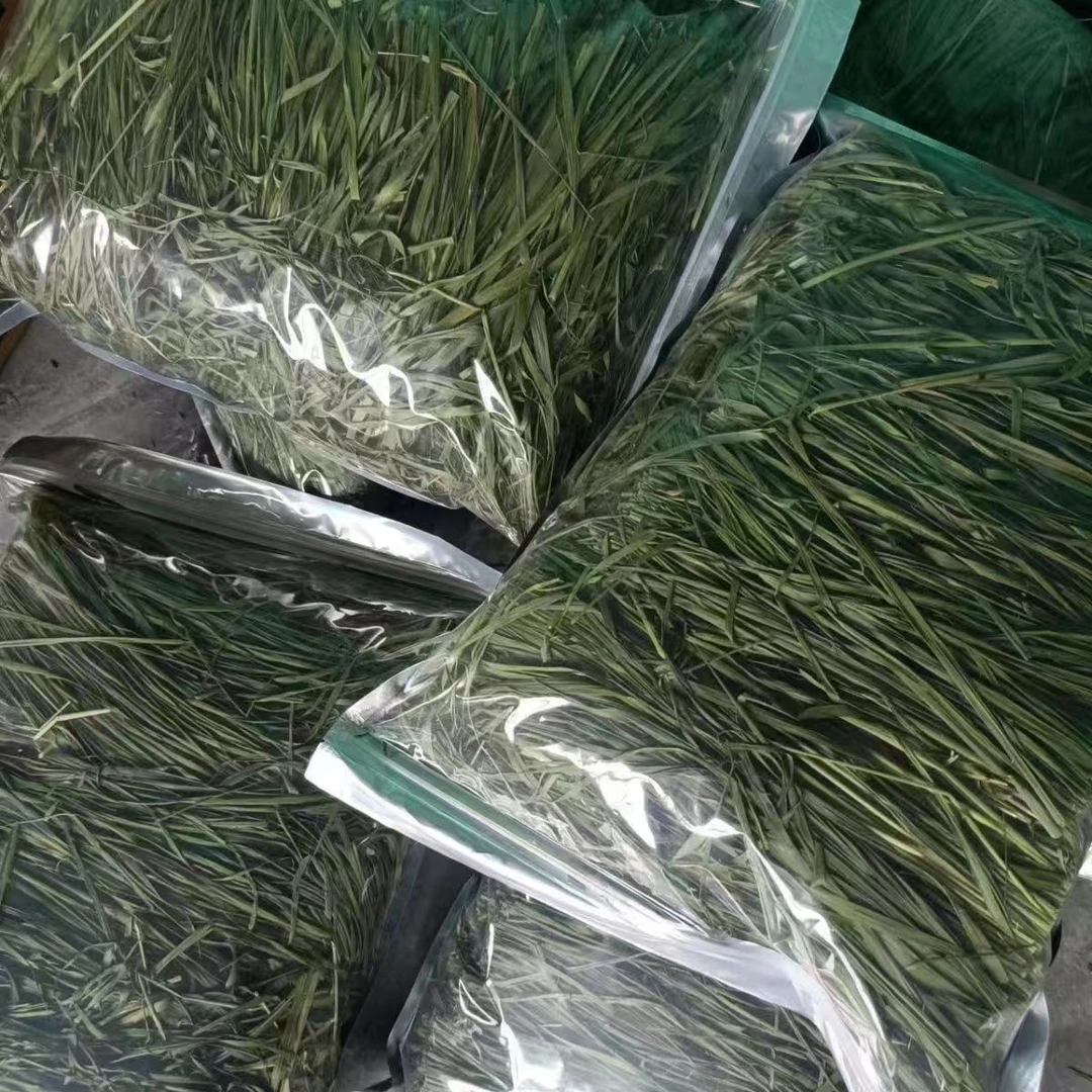 烘干精品提摩西草优质全叶提摩西