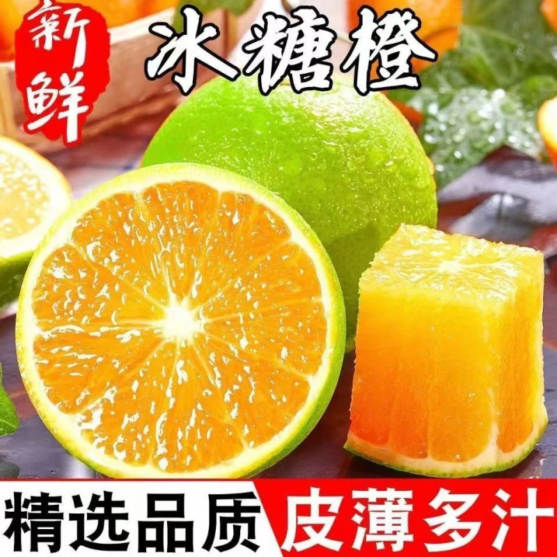 【送开果器】云南玉溪哀牢山树熟冰糖橙现摘八分甜二分酸青皮冰糖橙