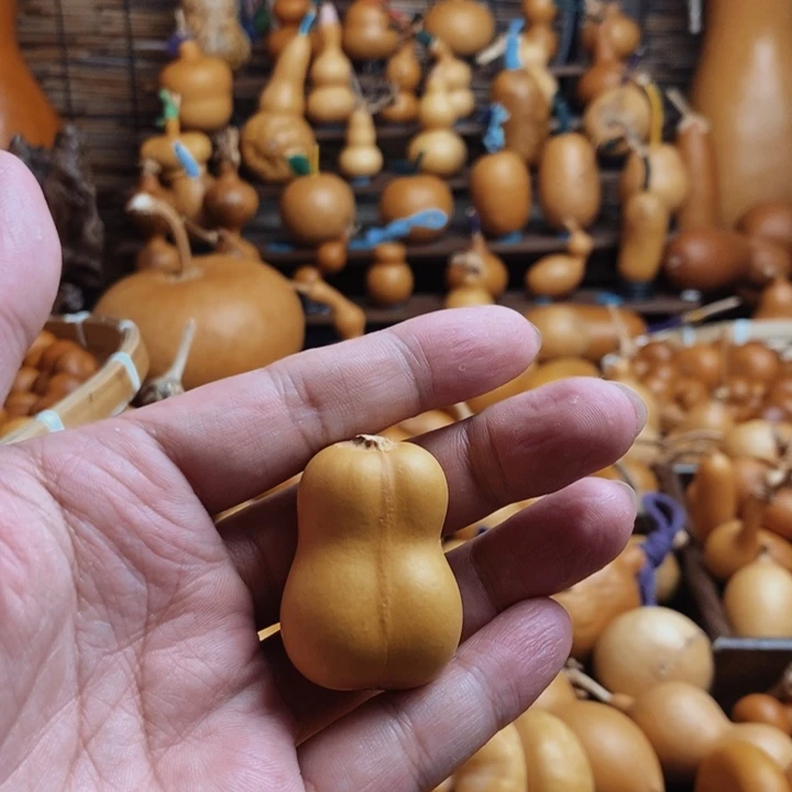 没***我188888888888888好