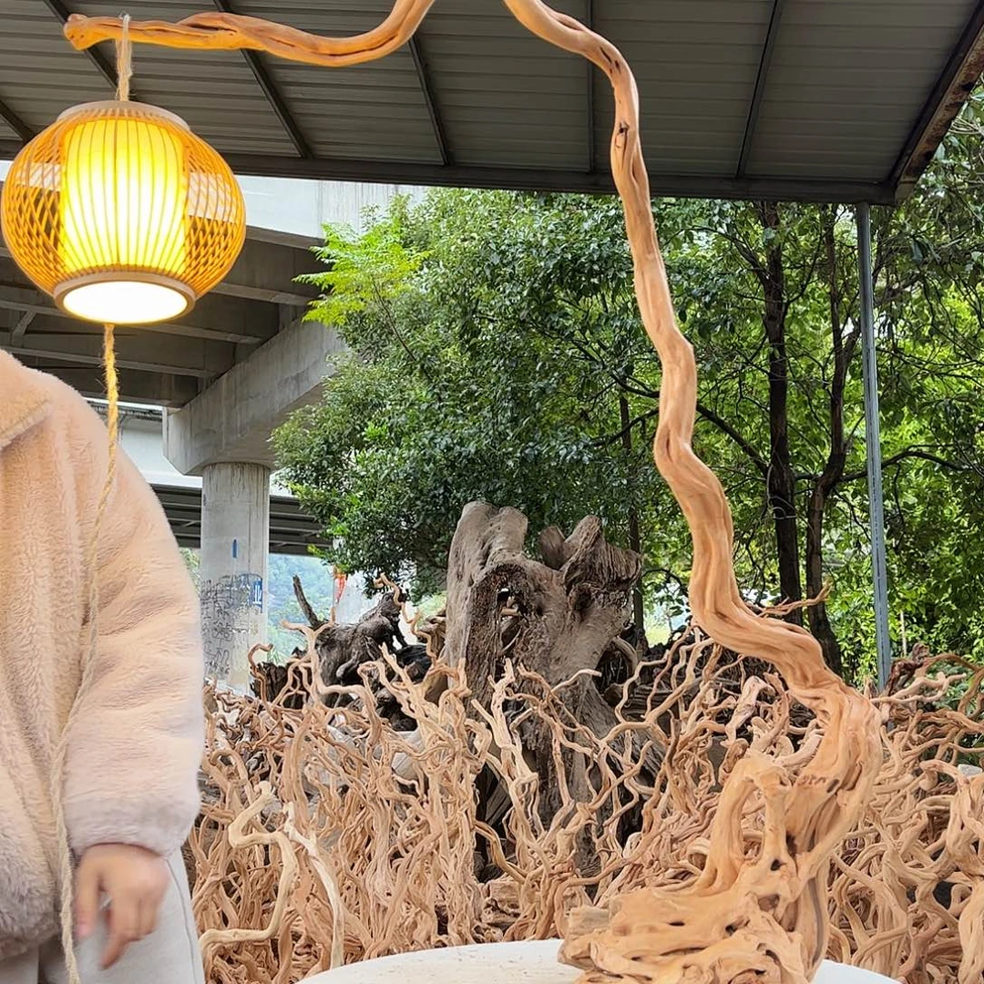 刚***好木我是一只小小鸟地域文化