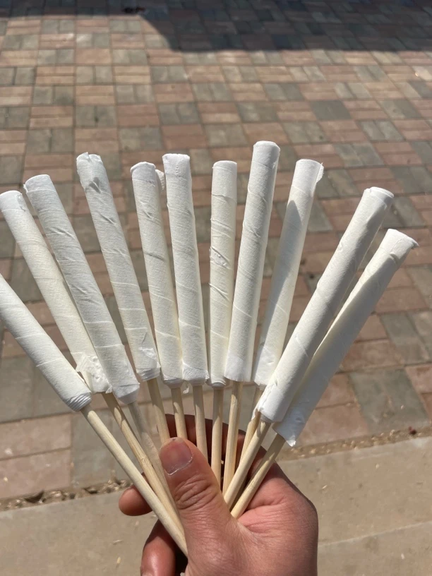 杜宾幼犬立耳棒（下单咨询客服）