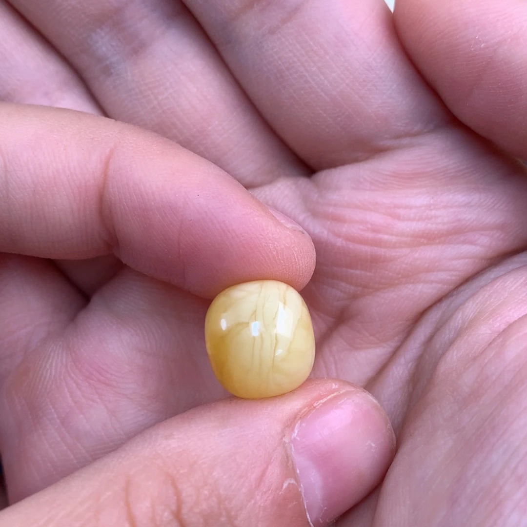 琥珀未镶嵌裸石蜜蜡12