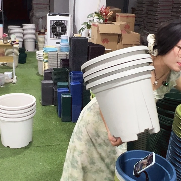 青山口32高28灰白五只无托