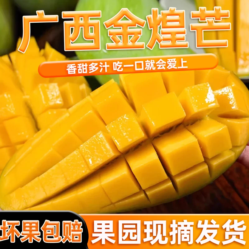 【正宗广西百色青皮金煌芒】新鲜应季水果带箱6斤/10斤坏果包赔