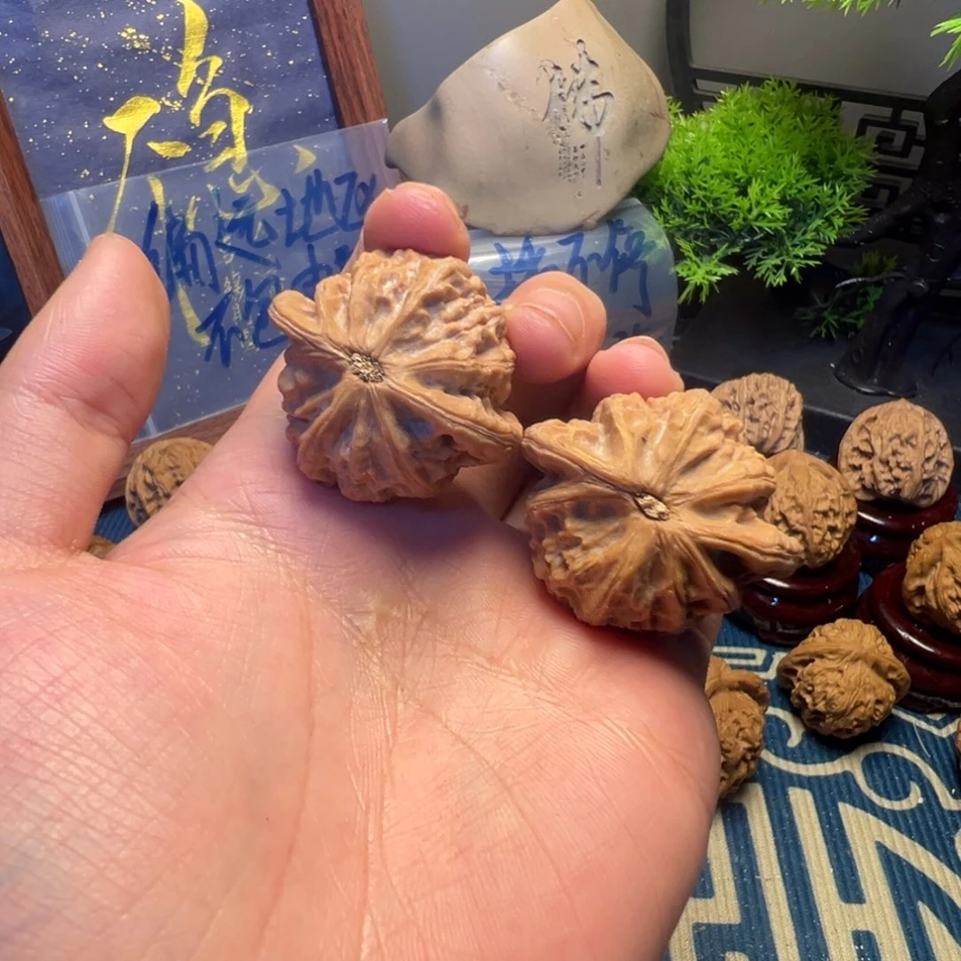 湖***眼37尺全品无修龙胆元宝