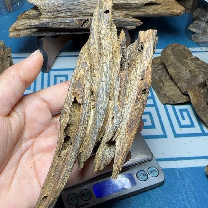 木质绿奇紫罗兰虫漏57克