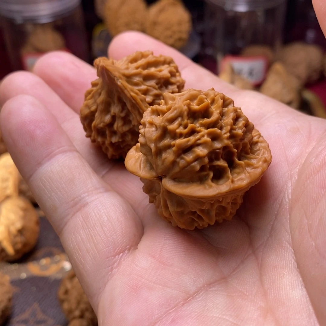 核桃手串/手链唐*戒珊瑚塔35.5毫米