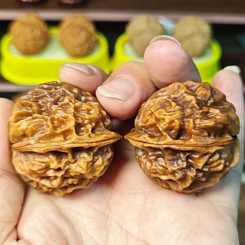 文玩核桃吊坠龙甲纹（05）