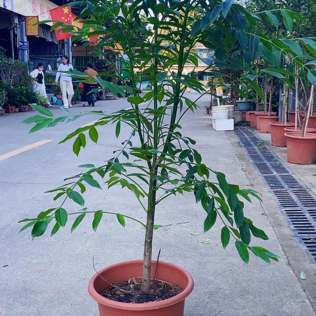 完全开放乖****宝1111111111