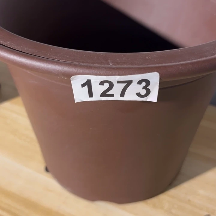 沙***子紫砂花盆  微微瑕全手天青