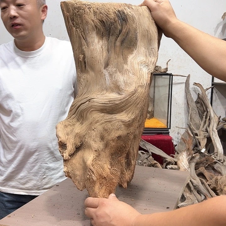 柏木呆*呗我们都是好孩子呀我也