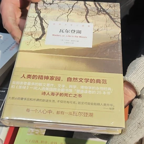 瓦尔登湖精装塑封全新