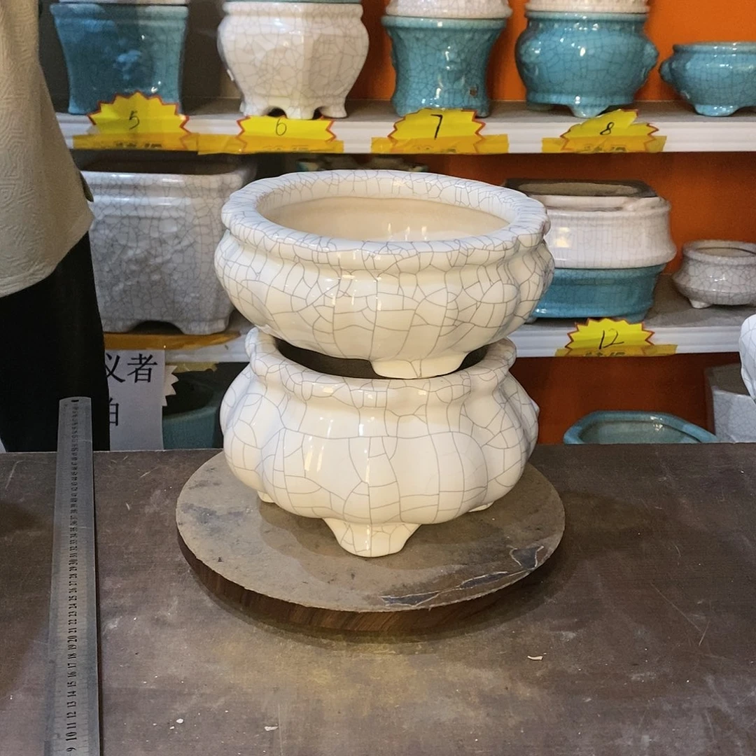 列*花盆花盆里的花