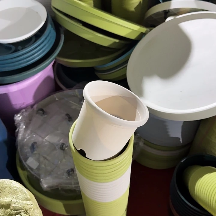 四季1号无托果绿色灰白色各5个