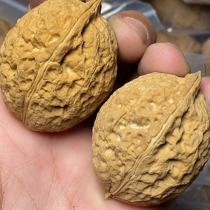 把件文玩核桃云南铁核桃52