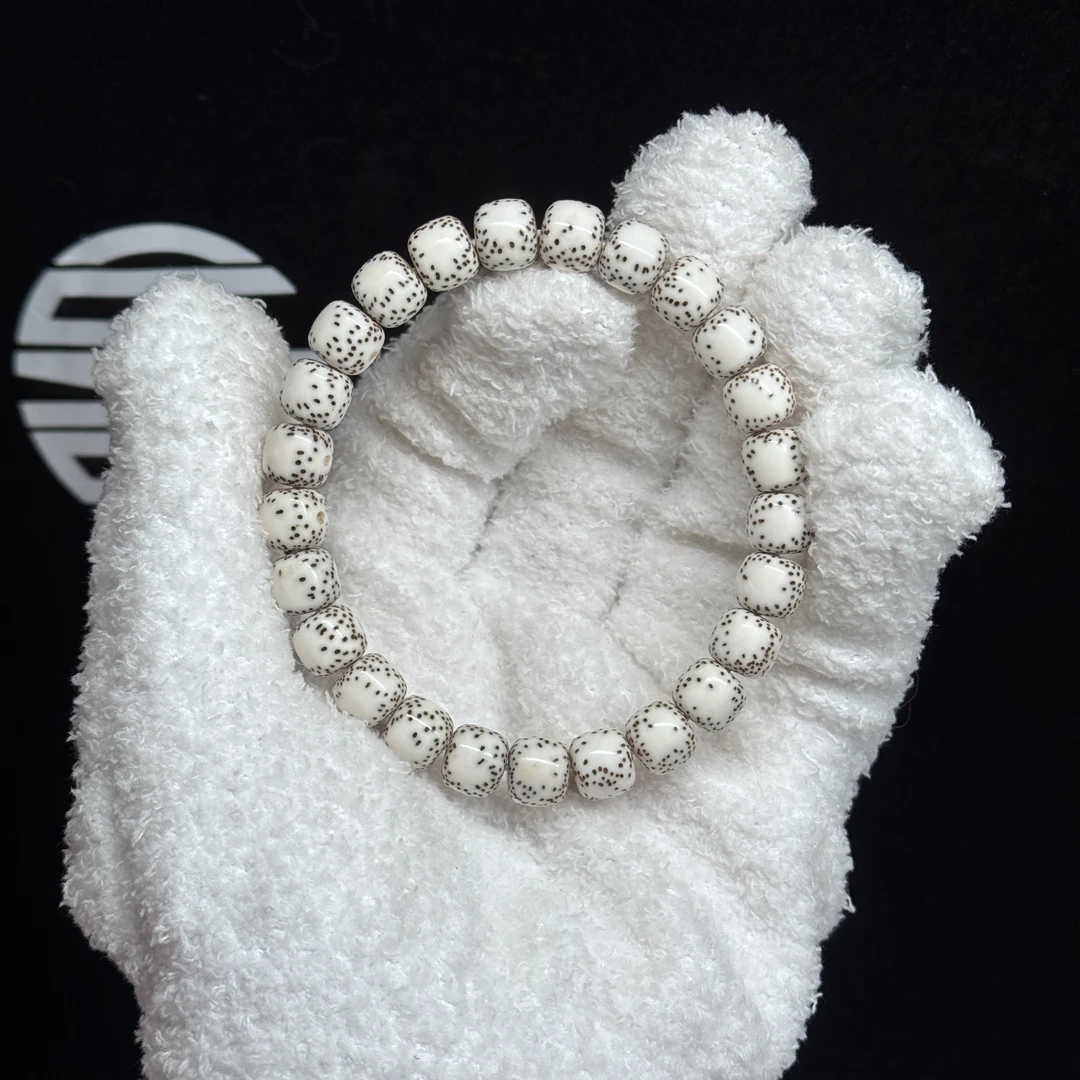 【原白半壁大留白-进阶款】海南原生态 星月菩提 同枝果老料