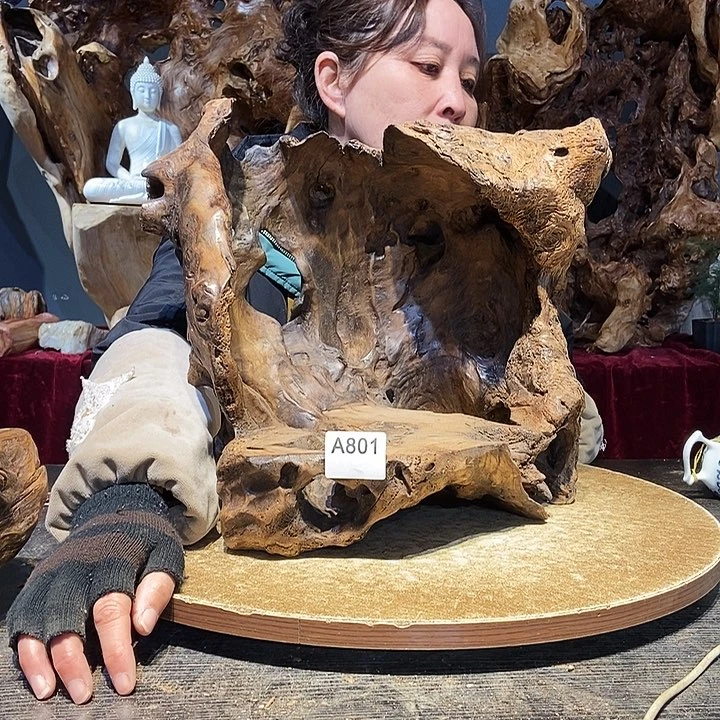 韦*801株木底座随行根艺