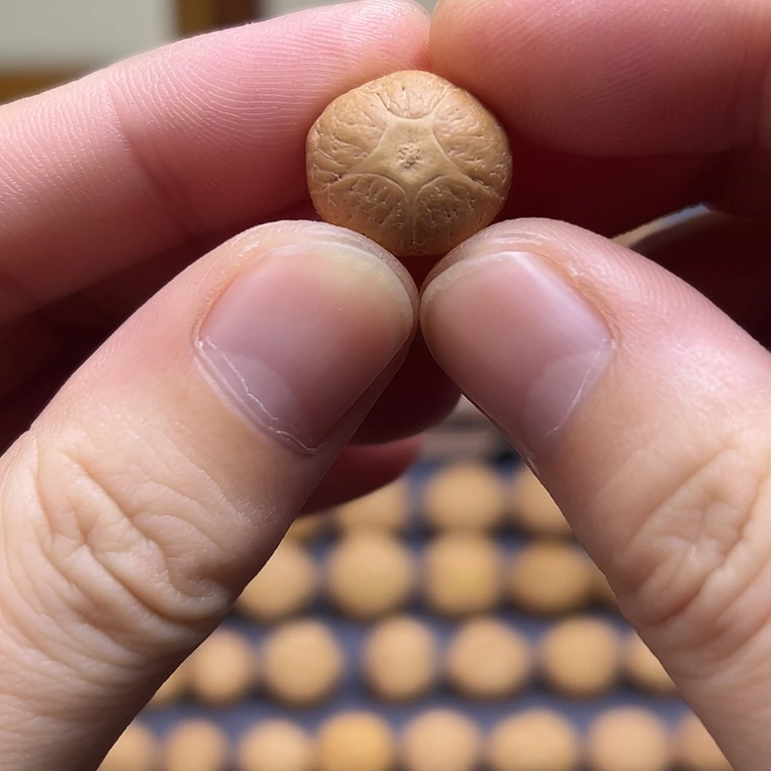 凤眼菩提手串16.3五星上将
