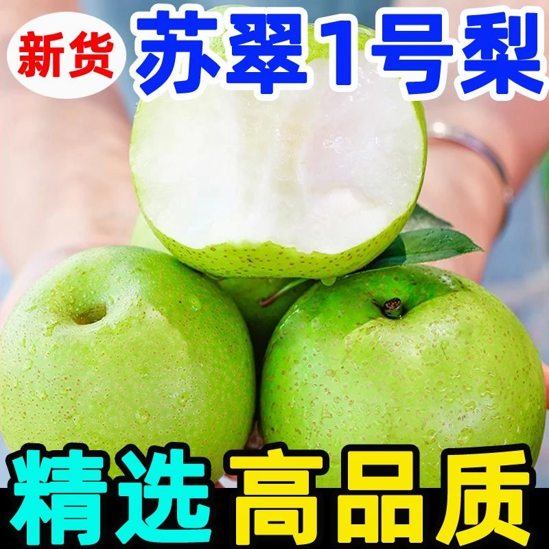 蔡西施农场信阳南阳苏翠1号 爆汁清甜 酥脆甜梨 新鲜采摘产地直发