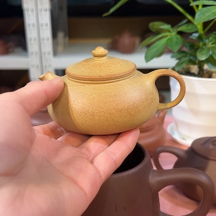 紫砂茶壶给xanghangjiang150cv