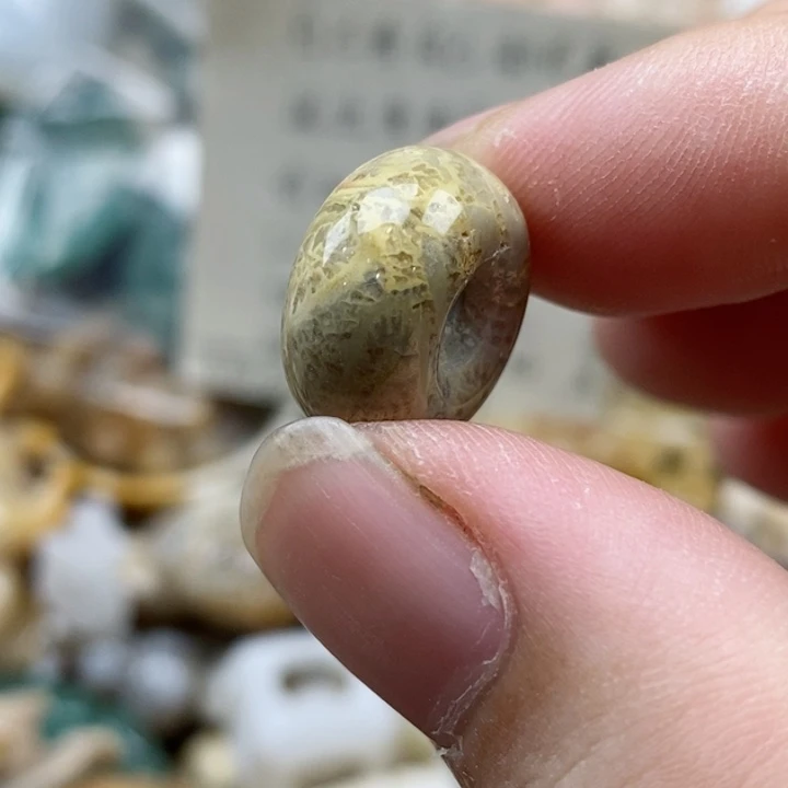 硅化珊瑚（珊瑚玉）未镶嵌颈饰◇****落