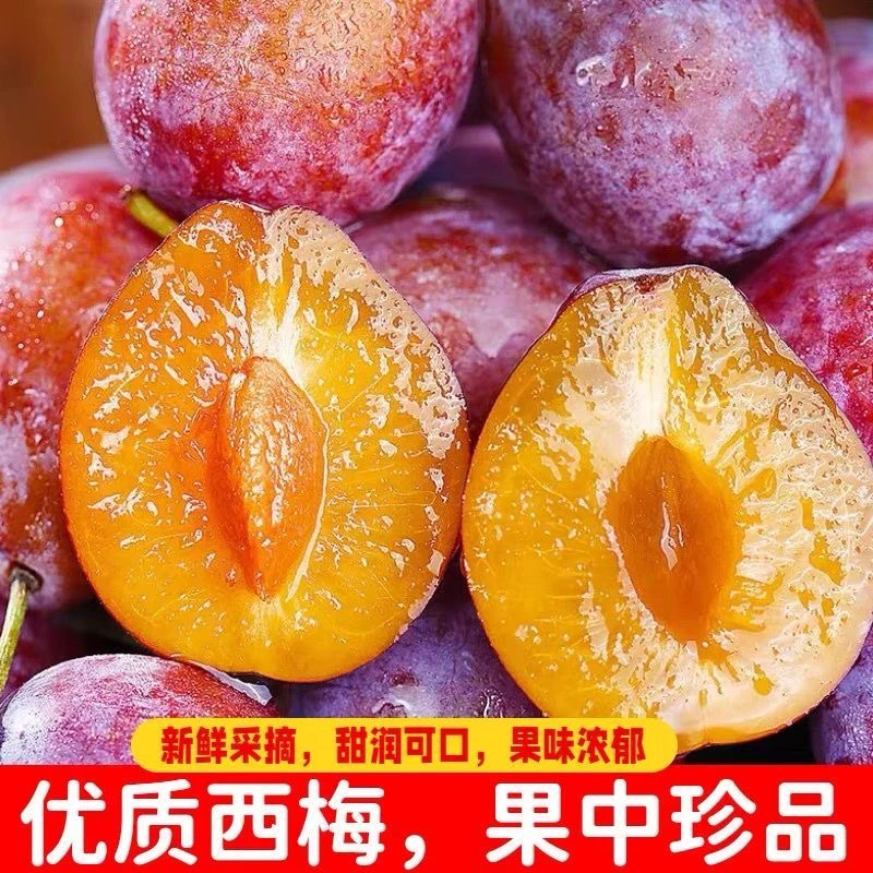 新鲜应季蓝蜜西梅与法兰西西梅酸甜多汁现摘脖子水果新鲜水果