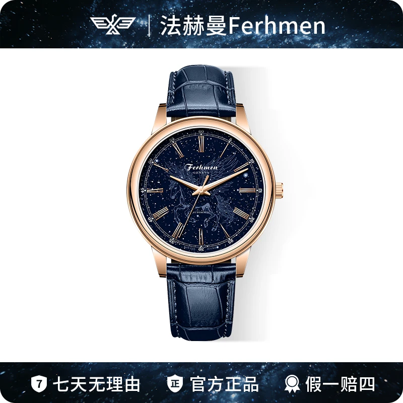 天马银河系列夜光防水全自动男士腕表F8022-BX
