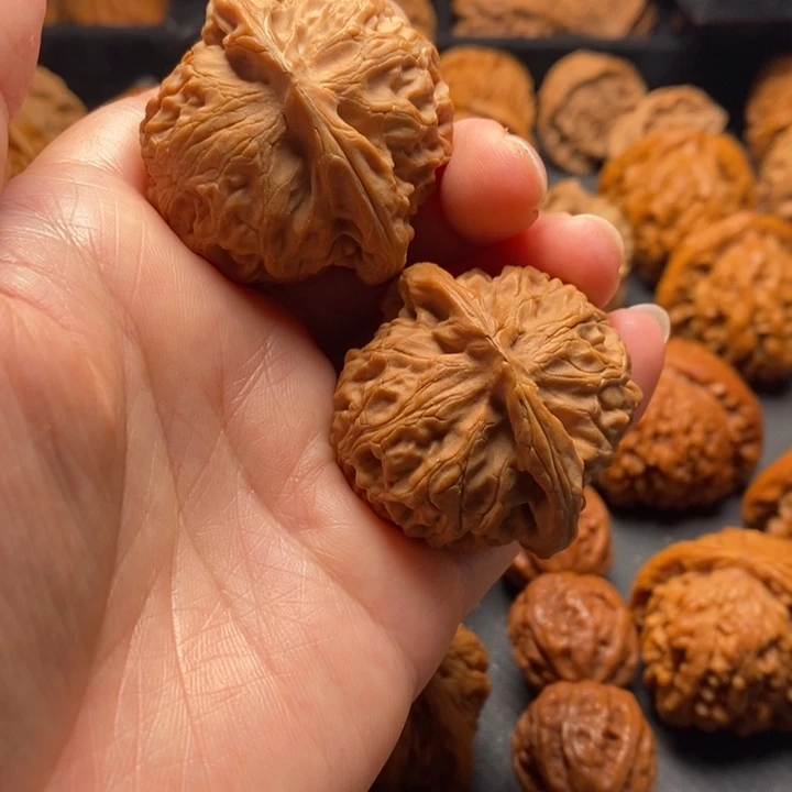 秦岭野生111111111