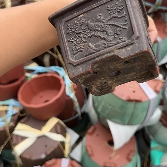 不用急哈就能来拿东西给她啦