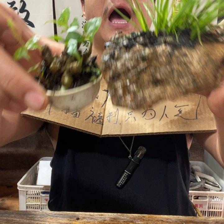 无花朵退款拉黑拉黑8
