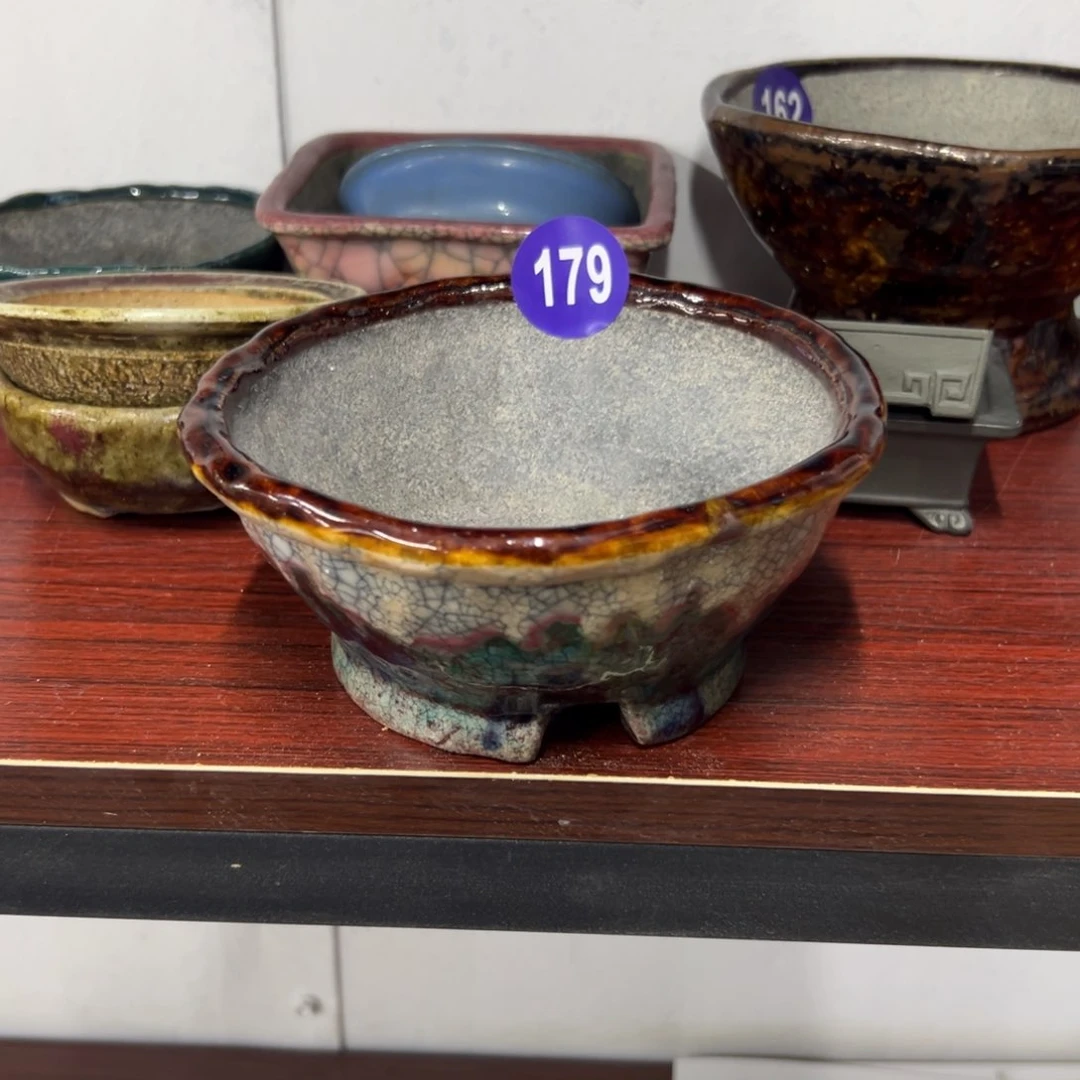 红陶天**城红红火火过大年179