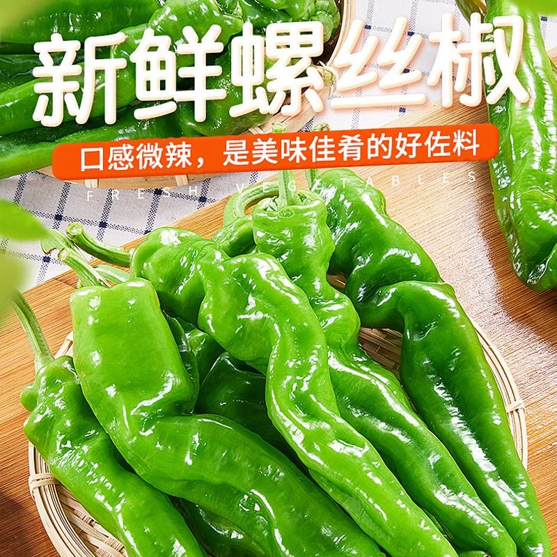 山东新鲜螺丝椒香辣薄皮皱皮辣椒蔬菜批发寿光基地直发包邮