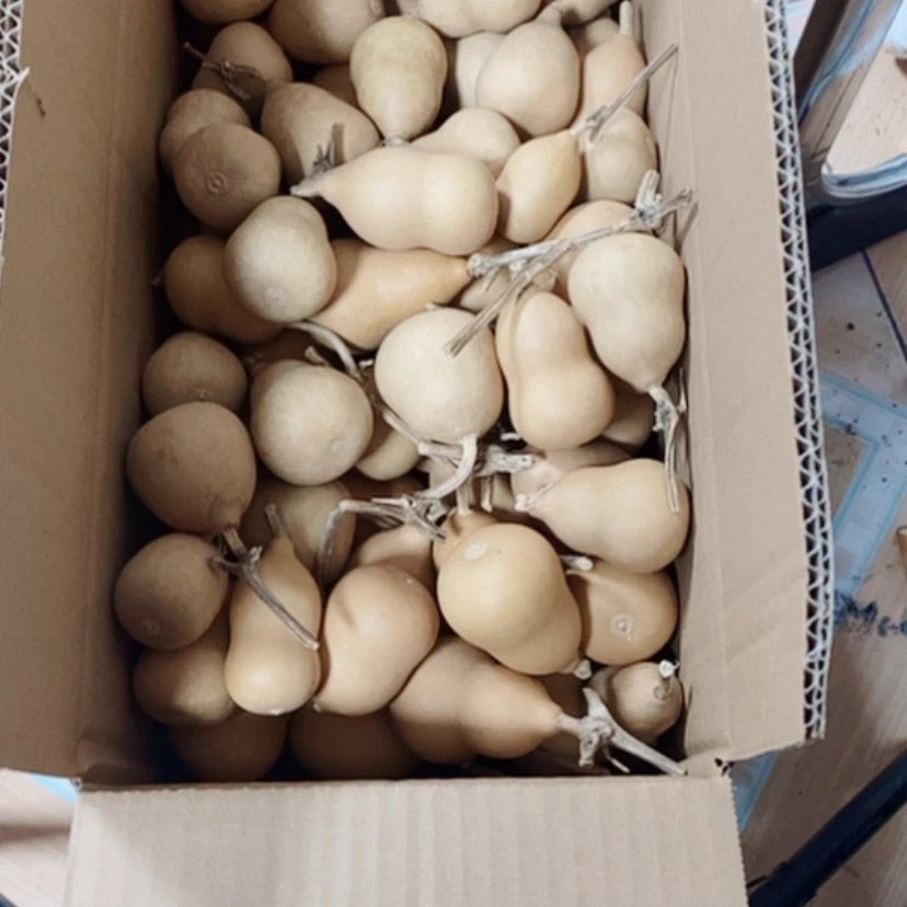 【闪购商品】120个胖墩312块钱