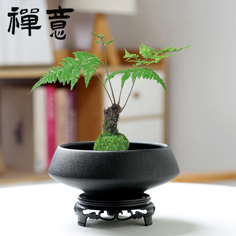 嘉玘｜苔藓球专用盆花盆陶瓷文竹无孔创意家用中式禅意盆景插花器