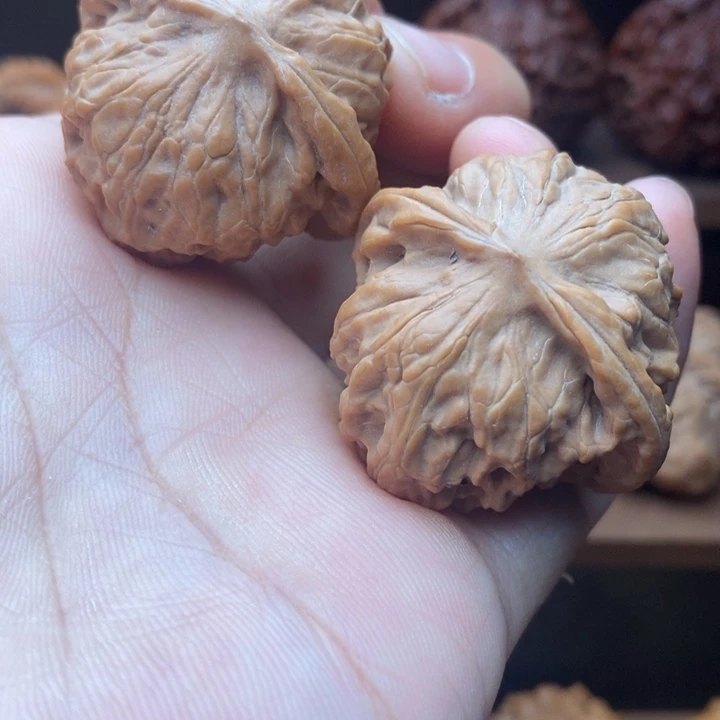 吊坠龙脊菩提37尺野狼全品